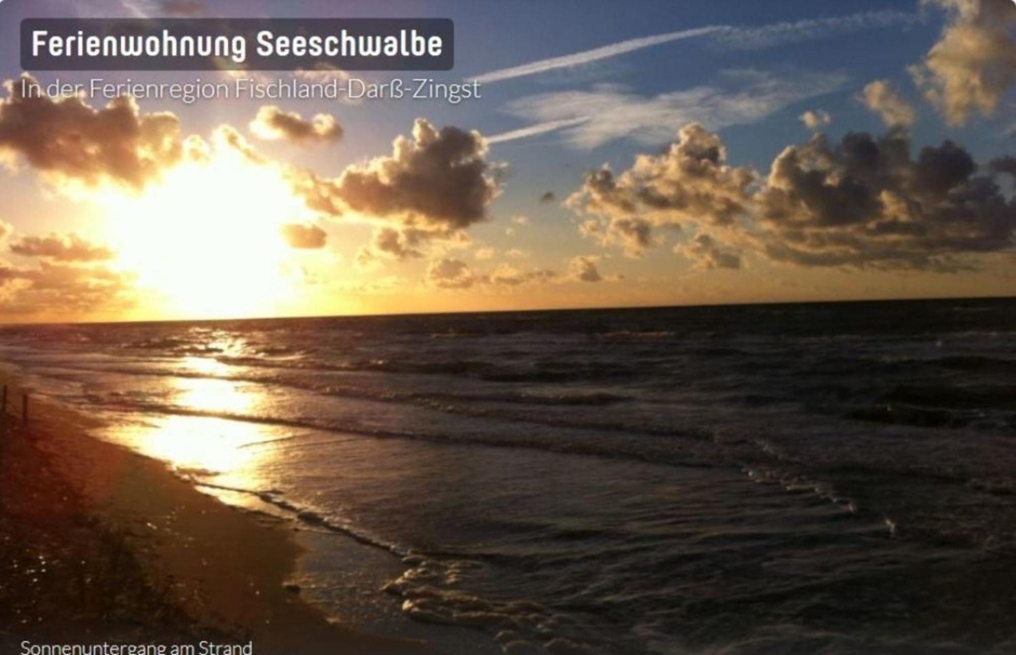 Seeschwalbe App 34 Neuhaus  Dış mekan fotoğraf